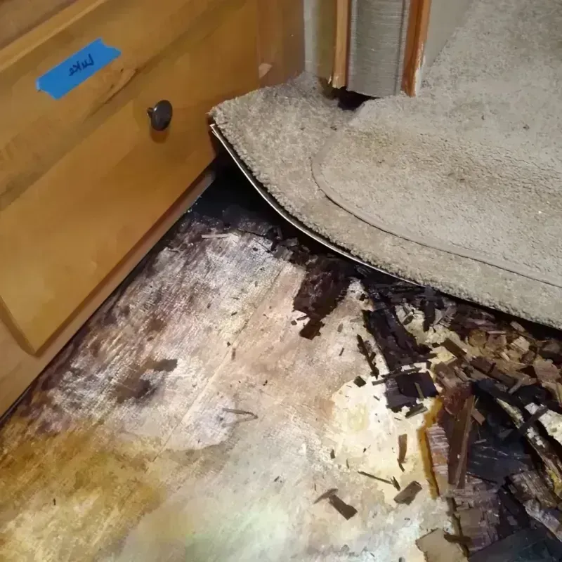 Best Wood Floor Water Damage Service in Elm Grove, WI